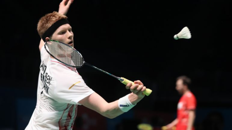 了巴萨的稳 了巴萨的稳