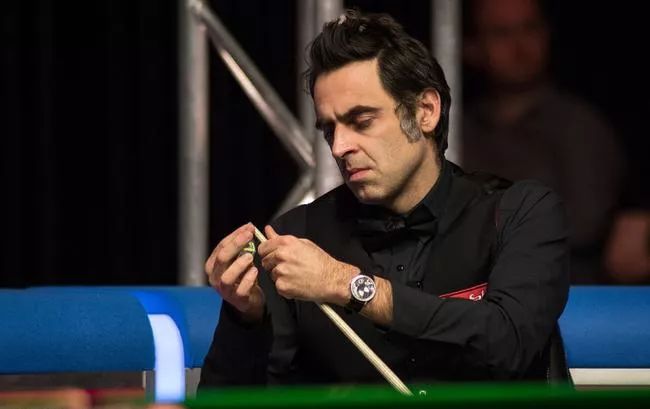 的乡村生态 的乡村生态