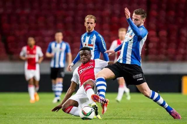 定性表现 定性表现