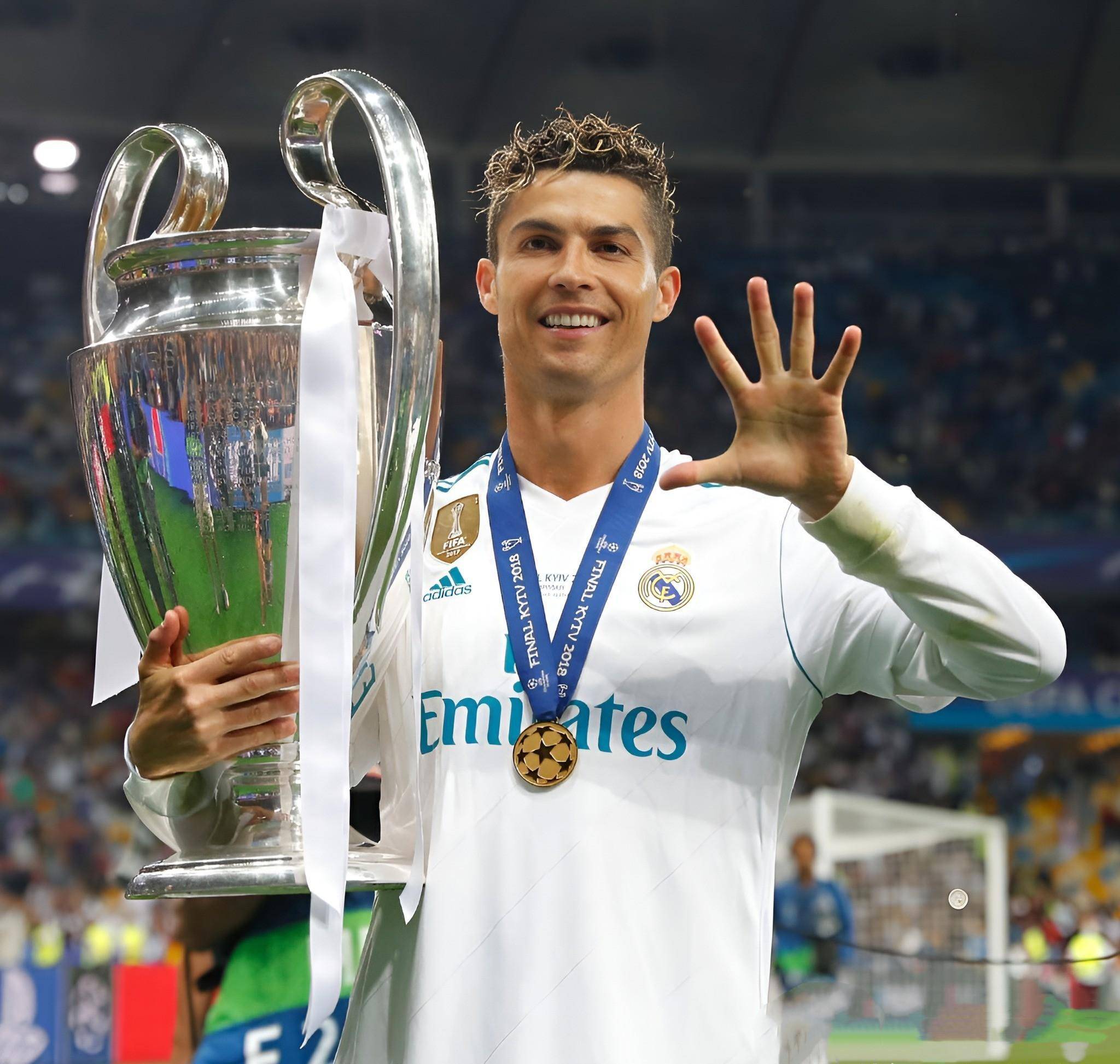 尺寸与牌面 尺寸与牌面