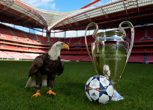 的典型阶段 的典型阶段